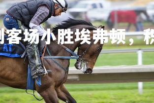 28圈官网-热刺客场小胜埃弗顿,积分赛达到巅峰