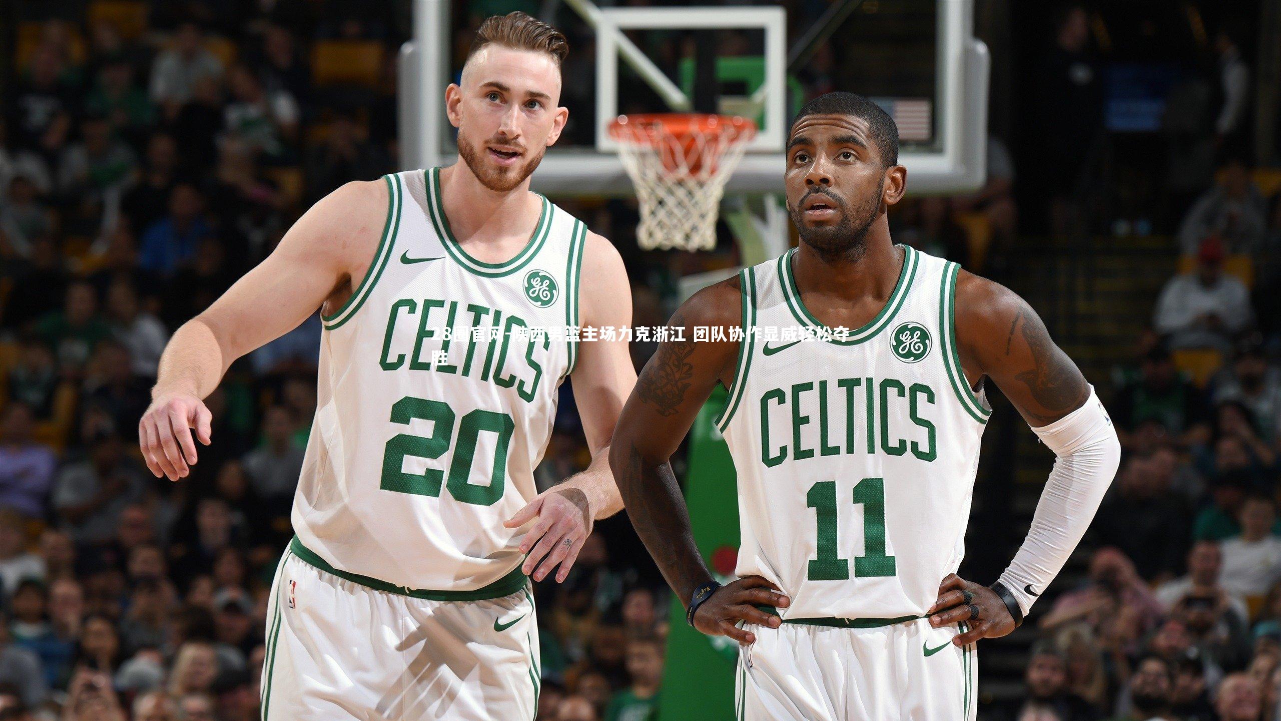 陕西男篮主场力克浙江 团队协作显威轻松夺胜