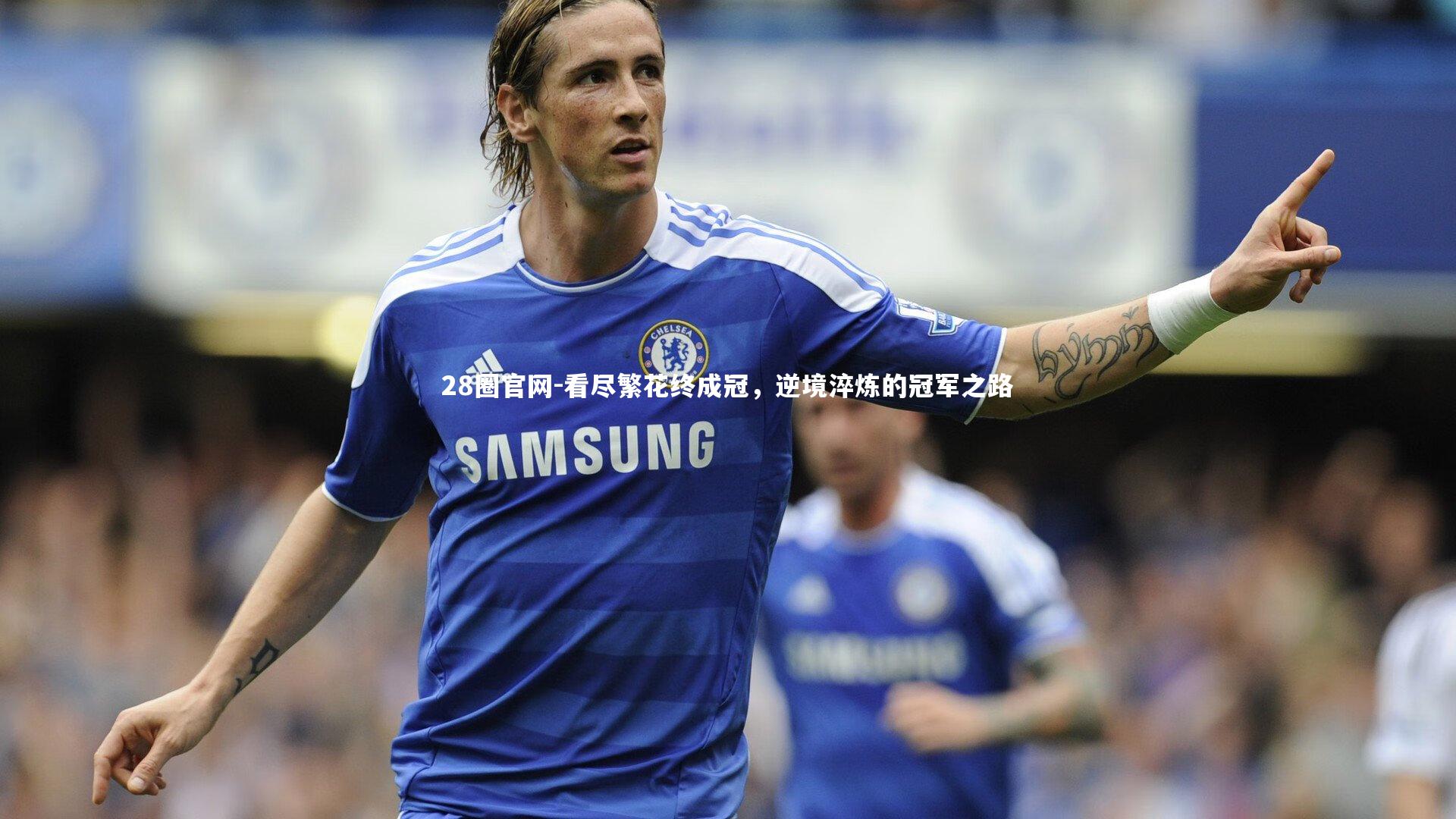看尽繁花终成冠，逆境淬炼的冠军之路