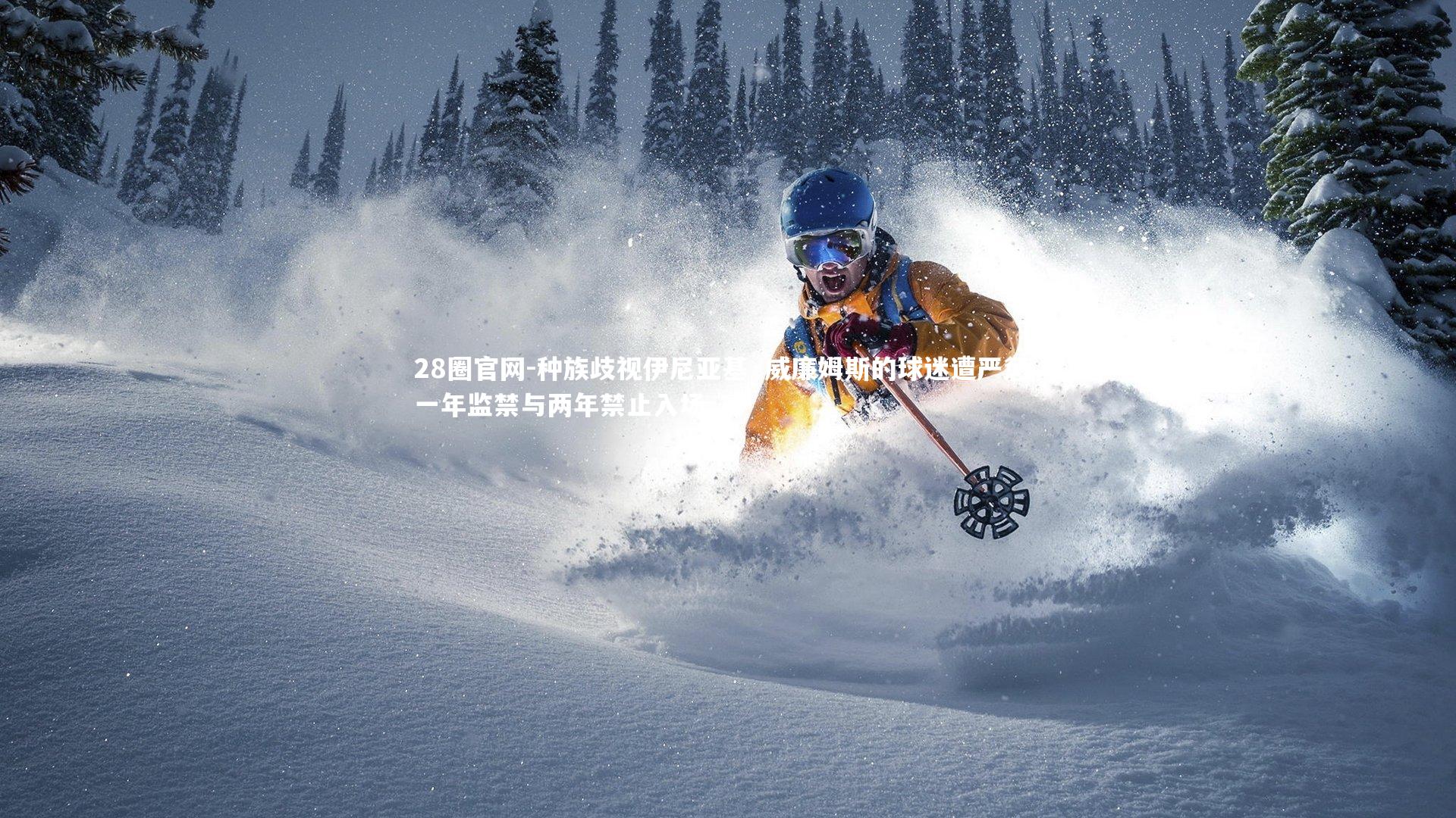 28圈官网-种族歧视伊尼亚基·威廉姆斯的球迷遭严惩，一年监禁与两年禁止入场